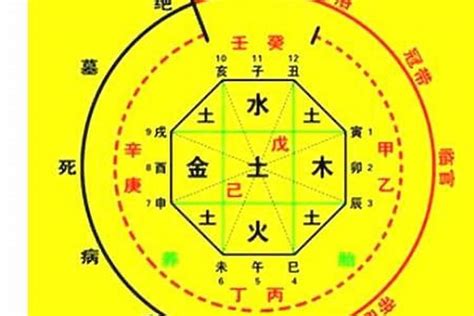 喜神 木|如何确定八字喜用神 – 八字喜用神的取用技巧